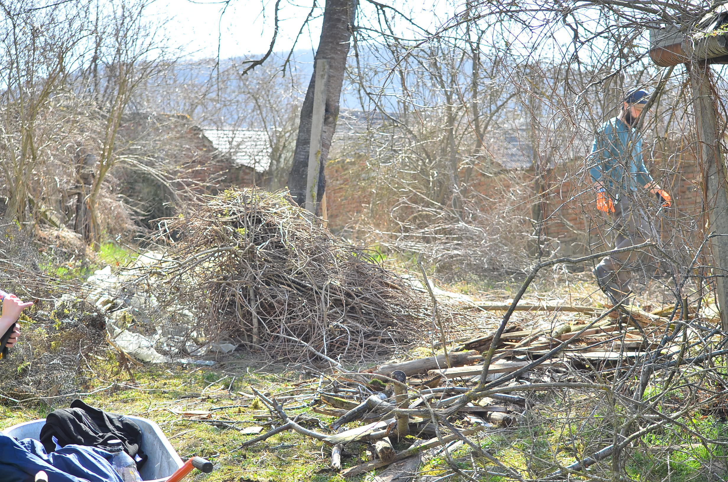 Rezultate după intervenție
