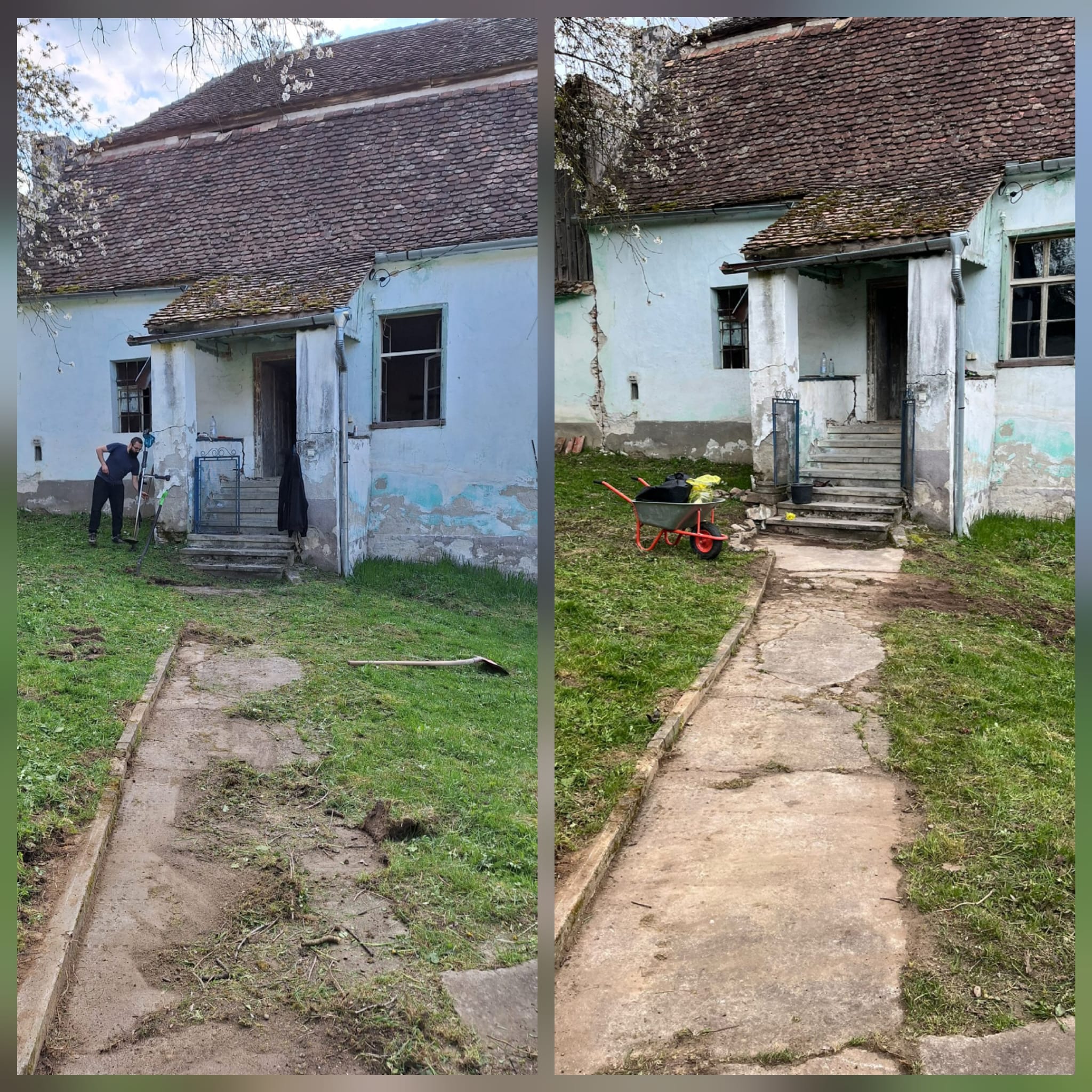 Before and after - alee